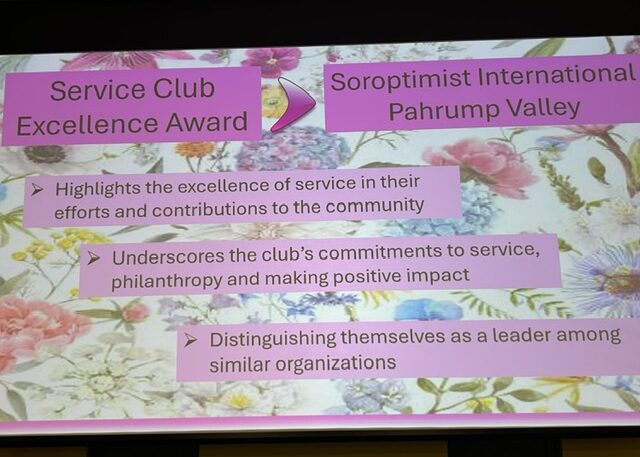 NyE Communities Coalition 2025 Hope Grows Volunteer Recognition Awards Ceremony
